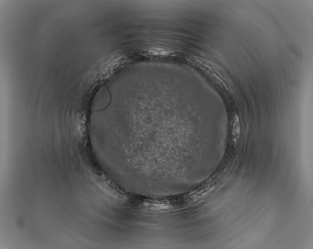 X0000112170559200908211429