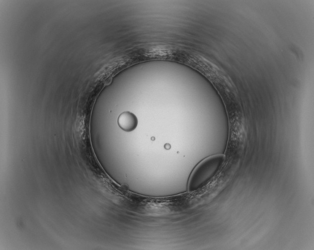 X0000112170560200908211429