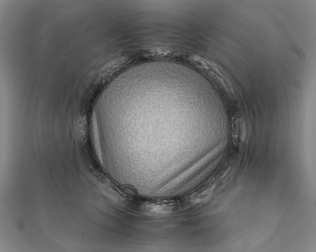 X0000112170563200908211429