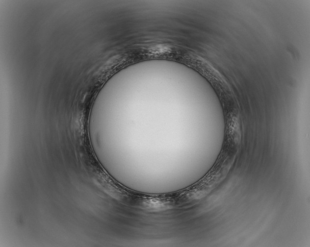 X0000112170565200908211429