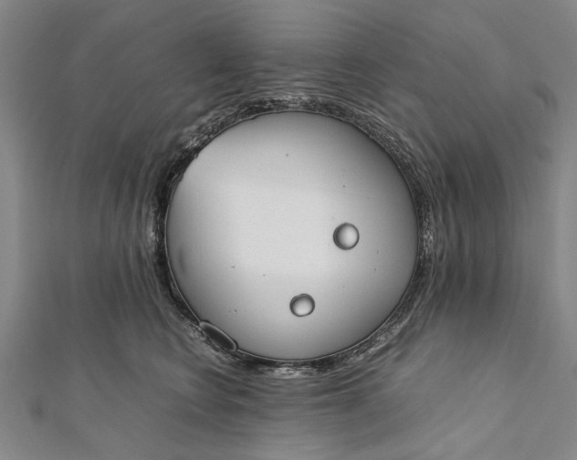 X0000112170566200908211429