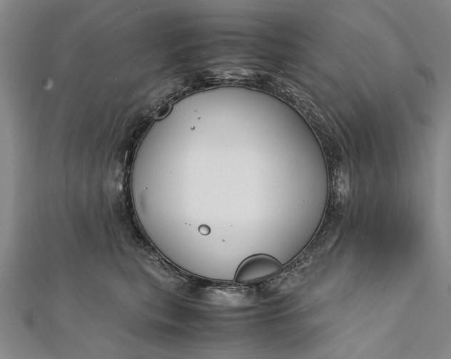 X0000112170567200908211429