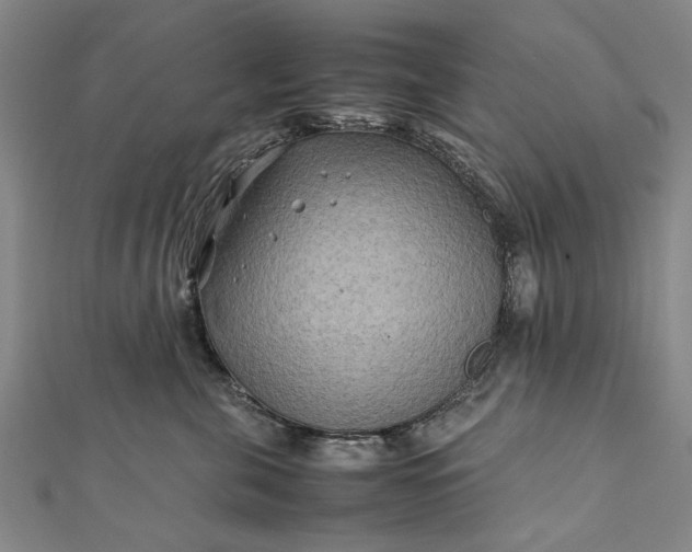 X0000112170571200908211429