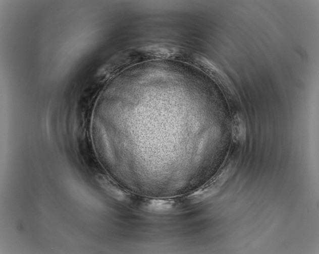 X0000112170573200908211429