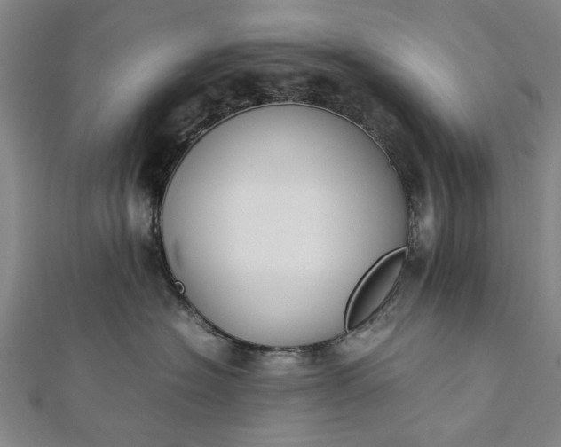 X0000112170574200908211429