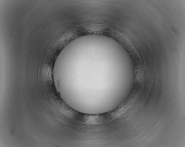 X0000112170575200908211429