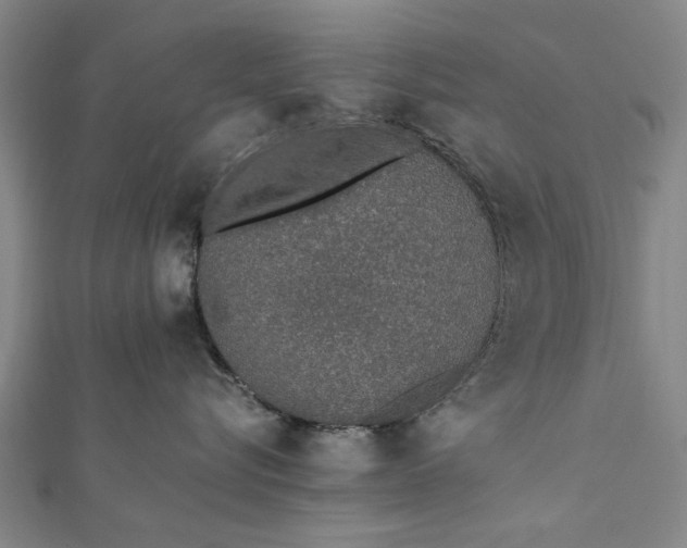 X0000112170576200908211429