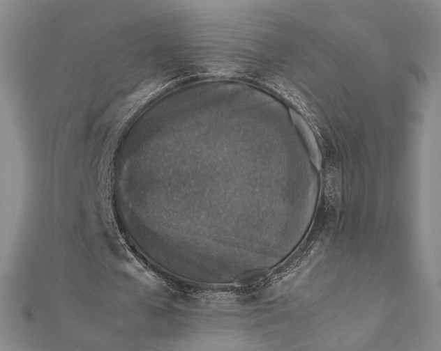 X0000112170577200908211428