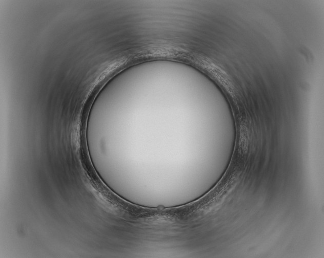 X0000112170578200908211428