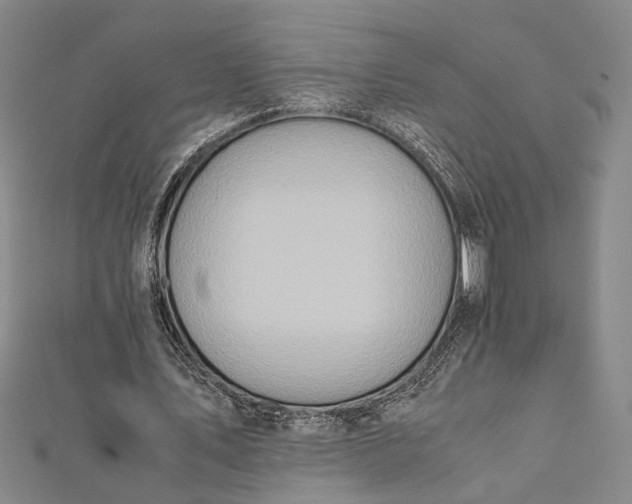 X0000112170579200908211428