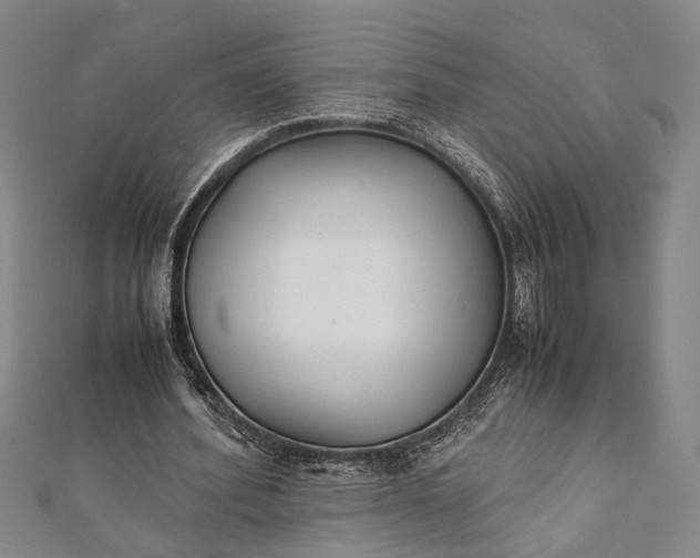 X0000112170580200908211428