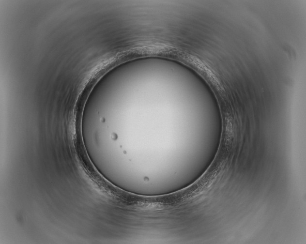 X0000112170582200908211428