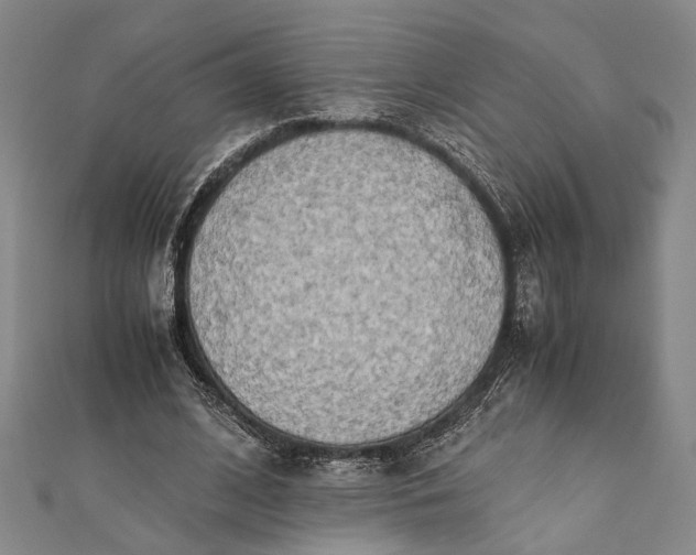 X0000112170584200908211428