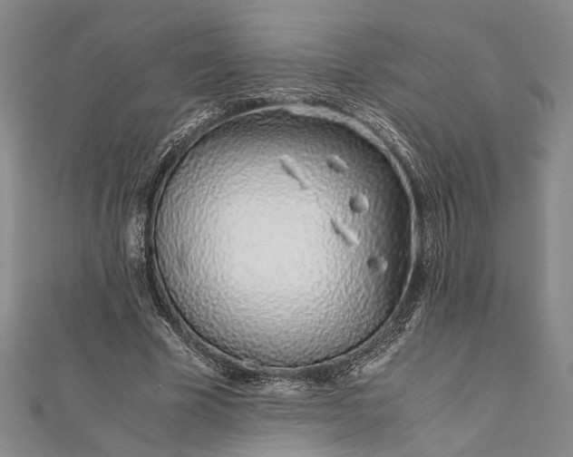 X0000112170585200908211428