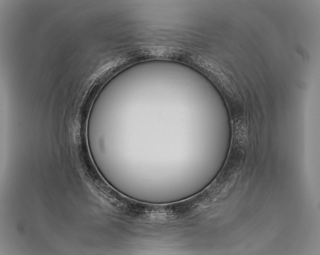 X0000112170587200908211428