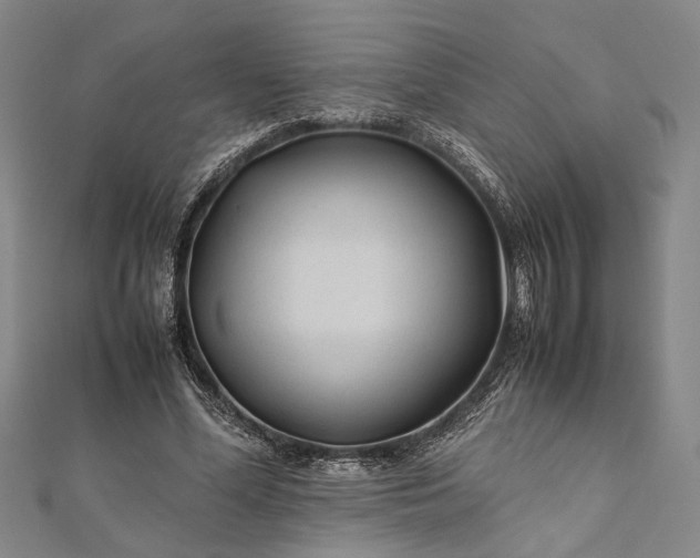 X0000112170588200908211428