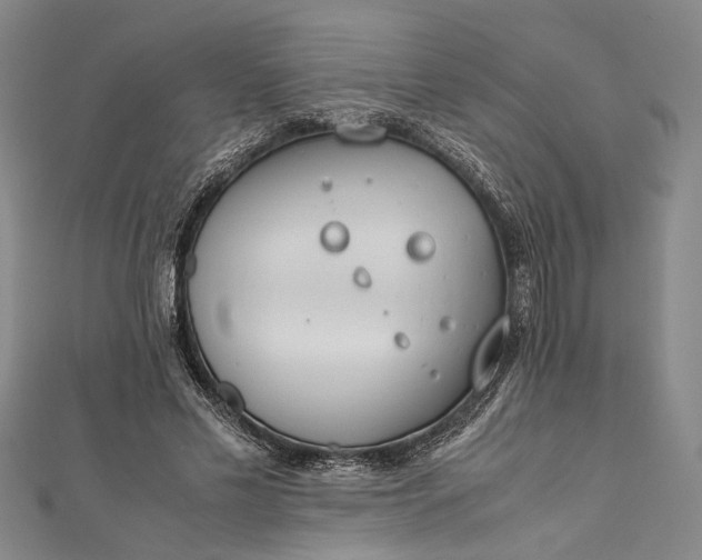 X0000112170589200908211428