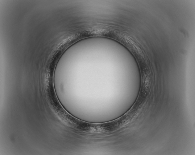 X0000112170591200908211428