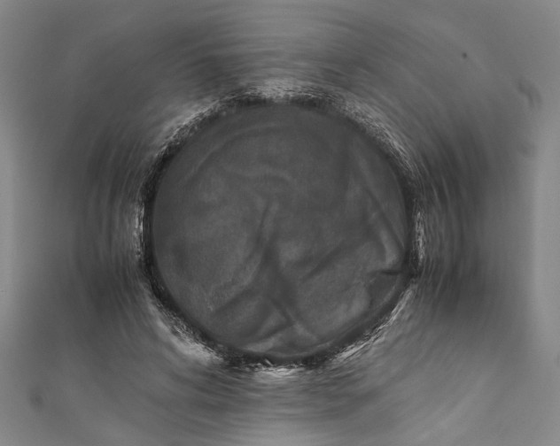 X0000112170592200908211428