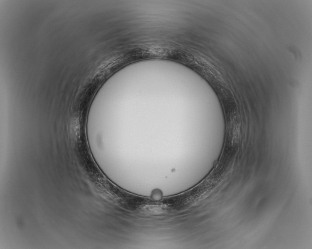 X0000112170595200908211428