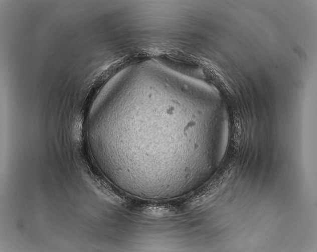 X0000112170596200908211428