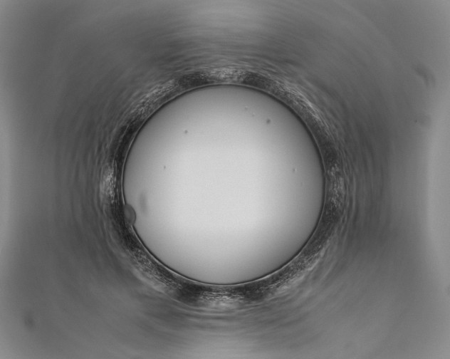 X0000112170597200908211428