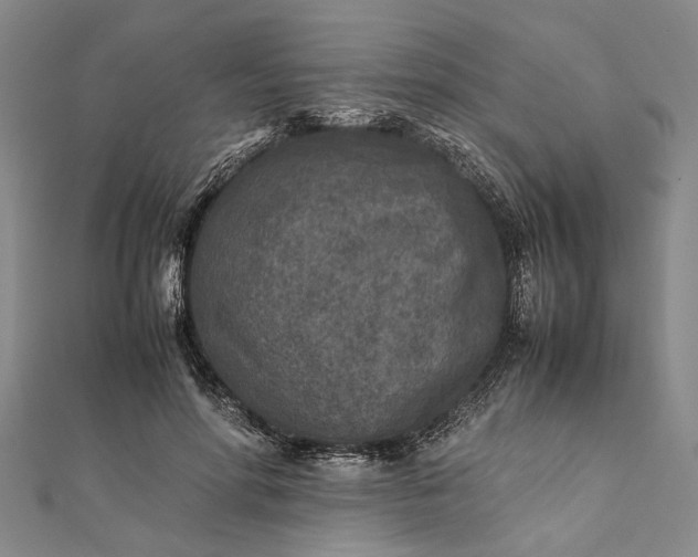 X0000112170598200908211428