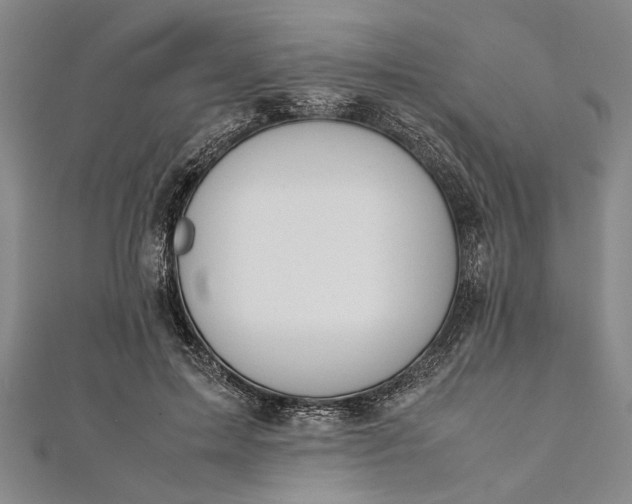 X0000112170599200908211428