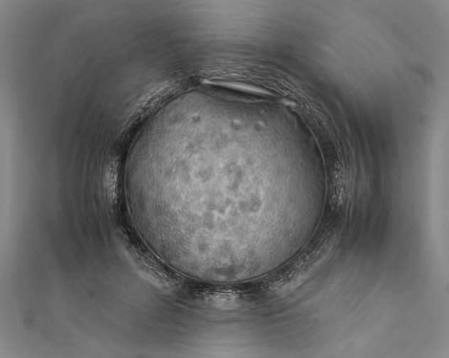 X0000112170600200908211428