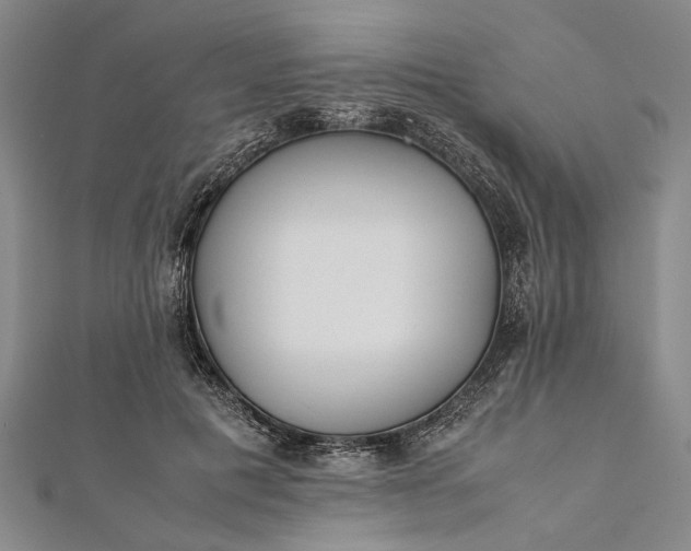 X0000112170601200908211428