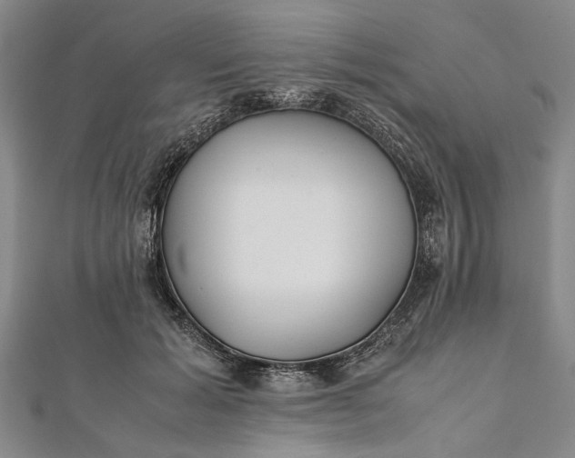 X0000112170605200908211428