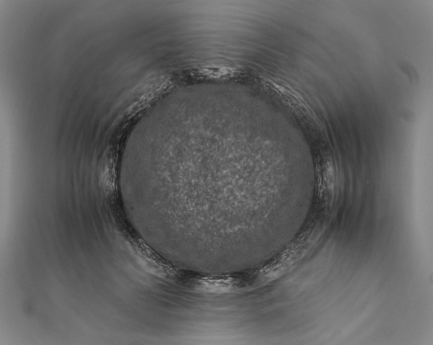 X0000112170606200908211428