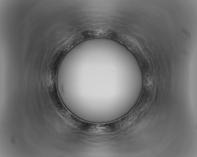 X0000112170607200908211428