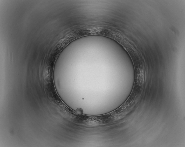 X0000112170608200908211428