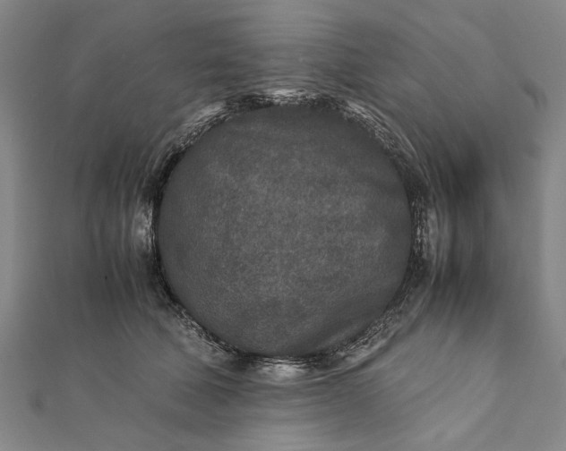 X0000112170610200908211428