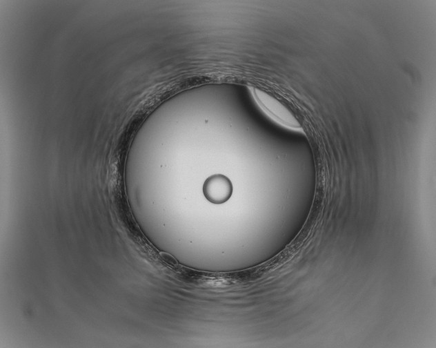 X0000112170611200908211428