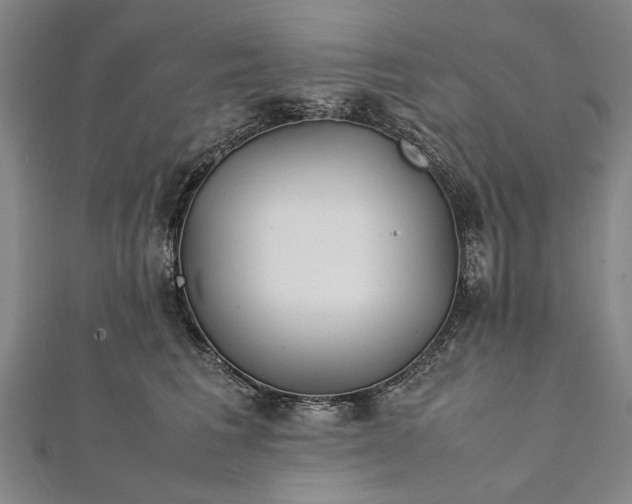 X0000112170613200908211428