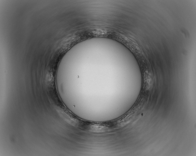 X0000112170614200908211428