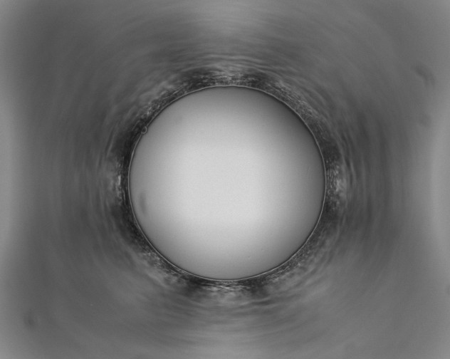 X0000112170615200908211428