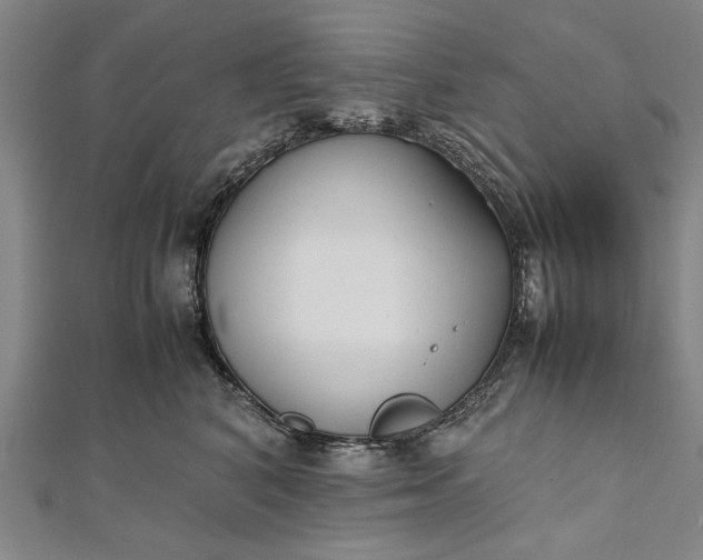 X0000112170616200908211428