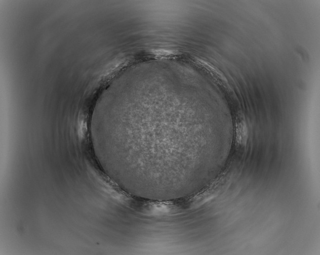 X0000112170618200908211428