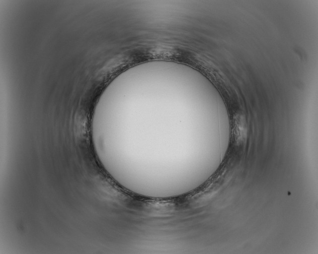 X0000112170619200908211428