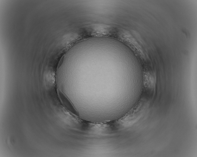 X0000112170621200908211428