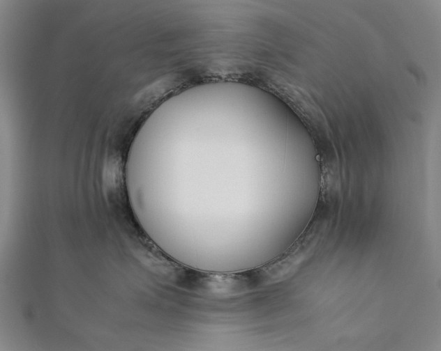 X0000112170623200908211428