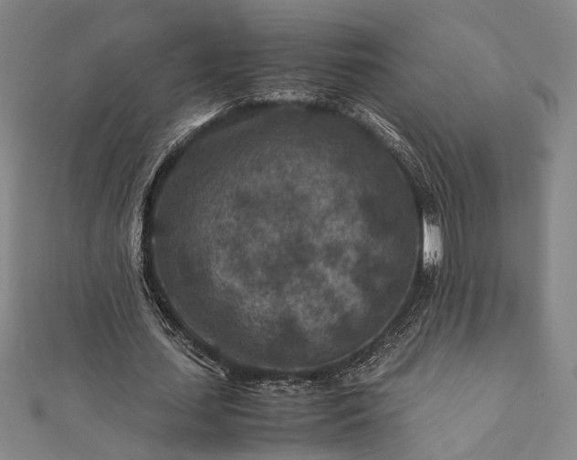 X0000112170627200908211427