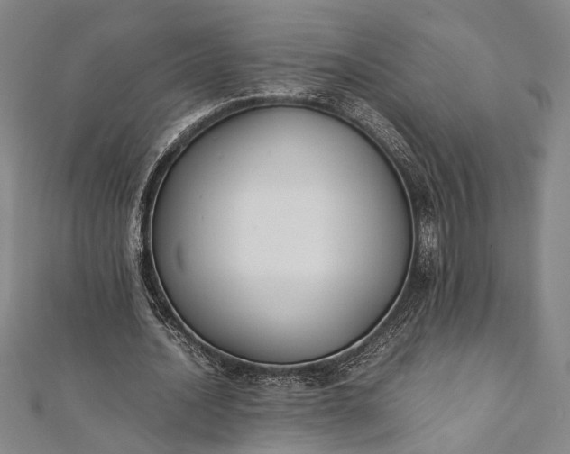 X0000112170628200908211427