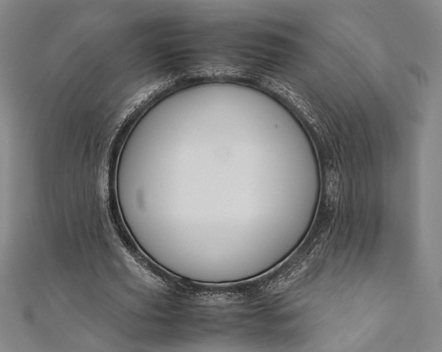 X0000112170629200908211427