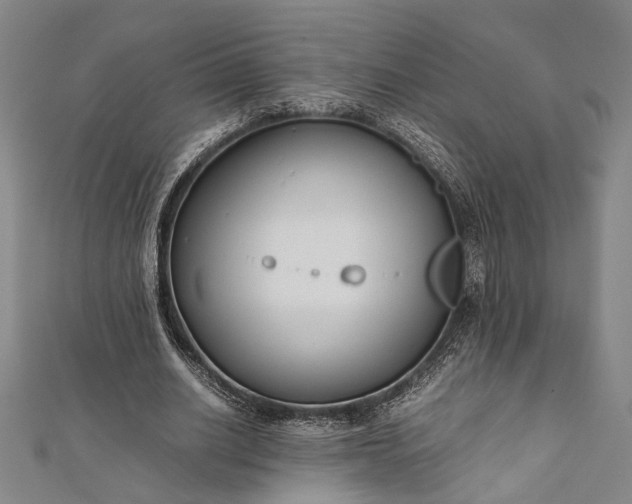 X0000112170630200908211427