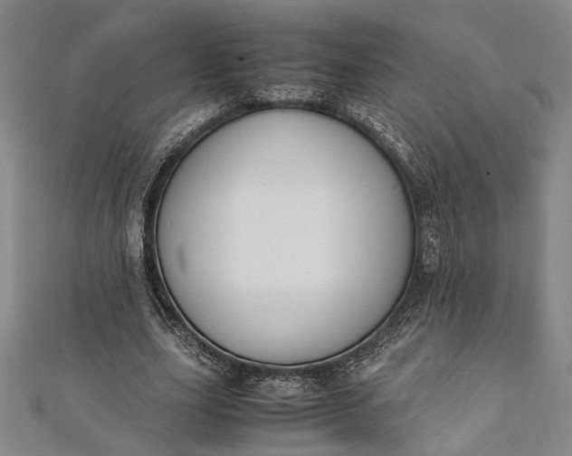 X0000112170631200908211427