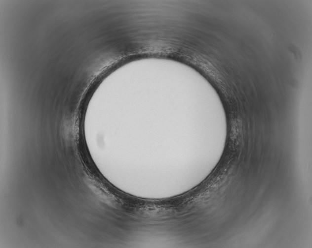 X0000112170632200908211427